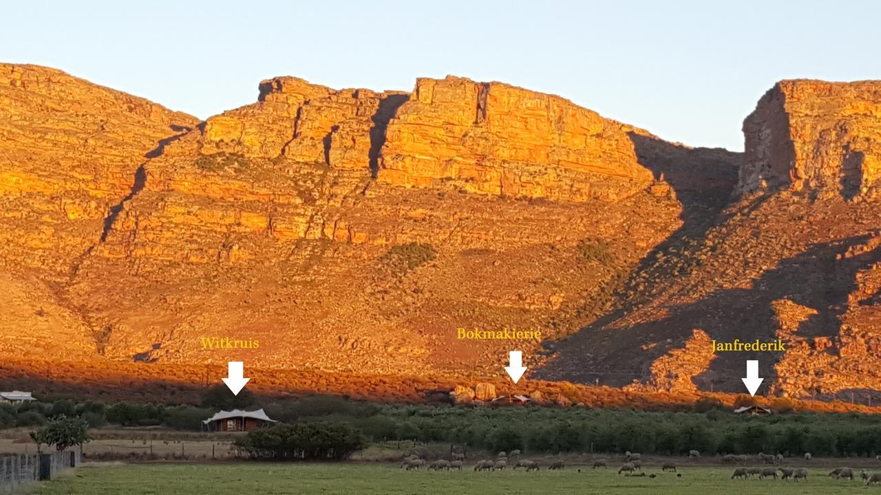 De Pakhuys Villa Clanwilliam Exteriör bild